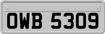 OWB5309