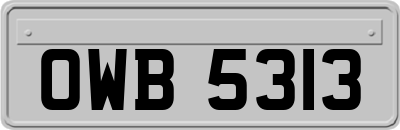 OWB5313
