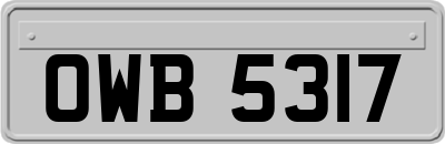 OWB5317