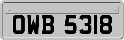 OWB5318