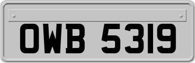 OWB5319