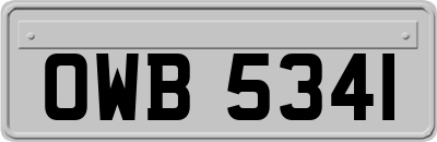 OWB5341