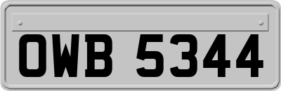 OWB5344