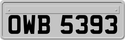 OWB5393