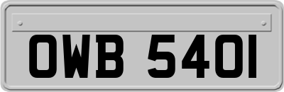 OWB5401