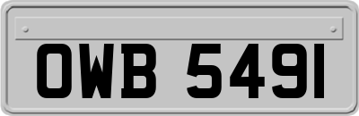 OWB5491