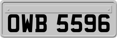 OWB5596