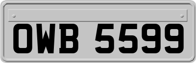 OWB5599