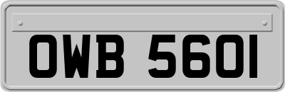 OWB5601