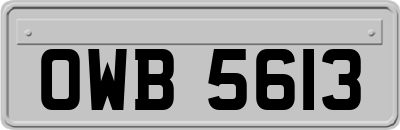 OWB5613
