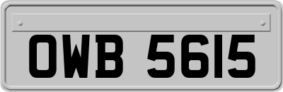 OWB5615