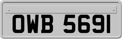 OWB5691