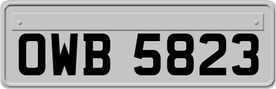 OWB5823