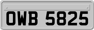 OWB5825