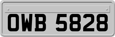 OWB5828