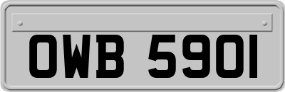 OWB5901