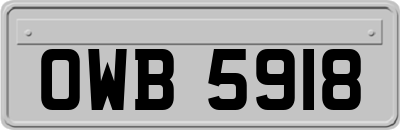 OWB5918