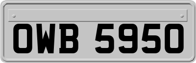 OWB5950