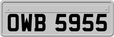 OWB5955