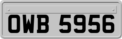 OWB5956