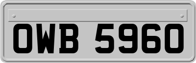 OWB5960