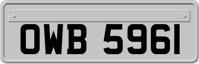 OWB5961