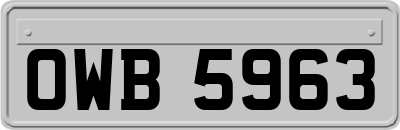 OWB5963