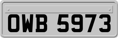 OWB5973