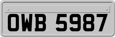 OWB5987
