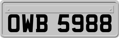 OWB5988