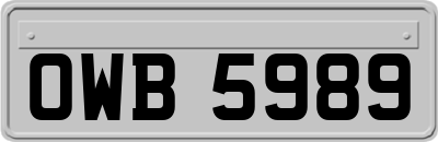 OWB5989