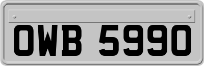 OWB5990