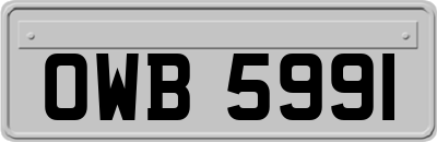 OWB5991