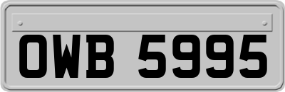 OWB5995
