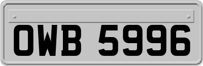OWB5996