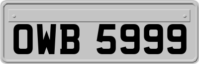OWB5999