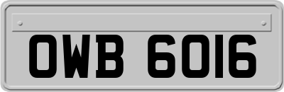OWB6016