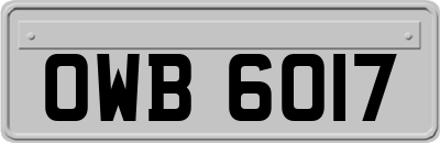 OWB6017