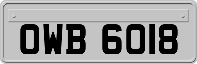 OWB6018
