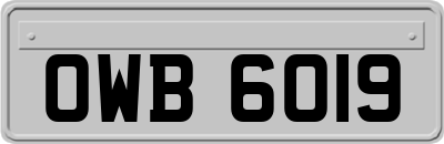 OWB6019