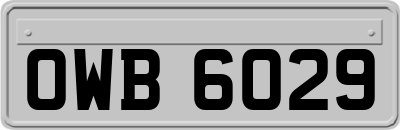OWB6029