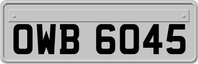 OWB6045