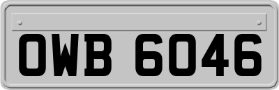 OWB6046
