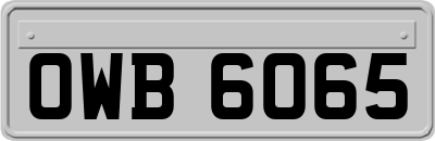 OWB6065