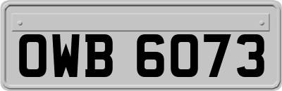 OWB6073