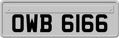 OWB6166