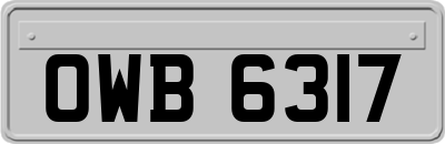 OWB6317
