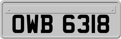 OWB6318