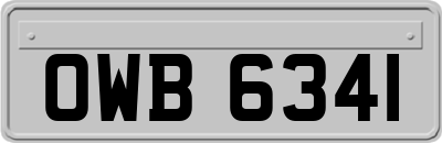 OWB6341