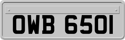 OWB6501